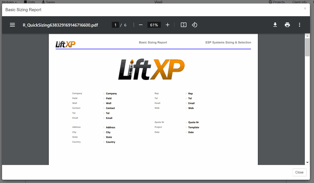 LiftXP generated sizing report